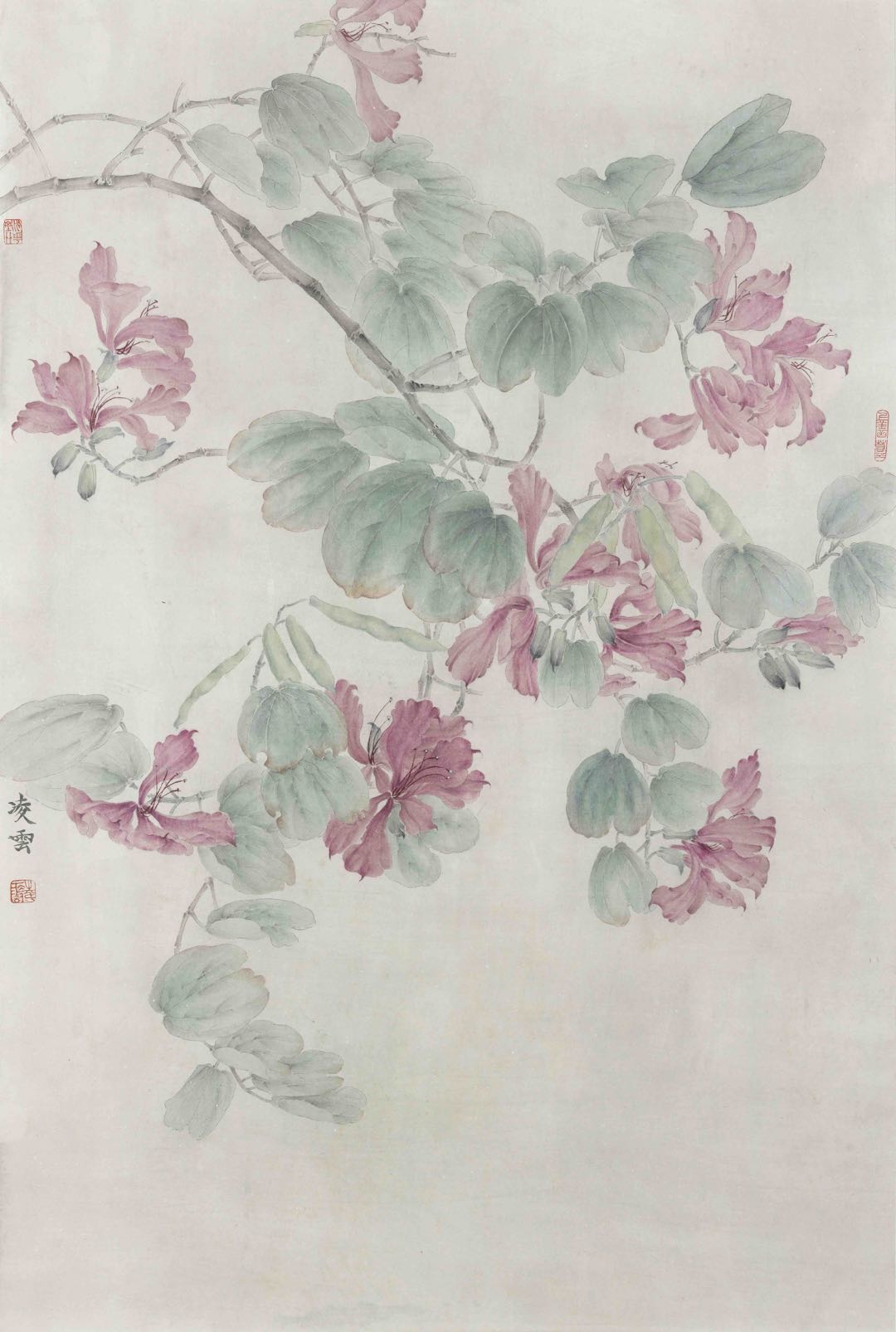 c8dc8222ce434950b8c356d6590a3f38.Jpeg c8dc8222ce434950b8c356d6590a3f38.Jpeg