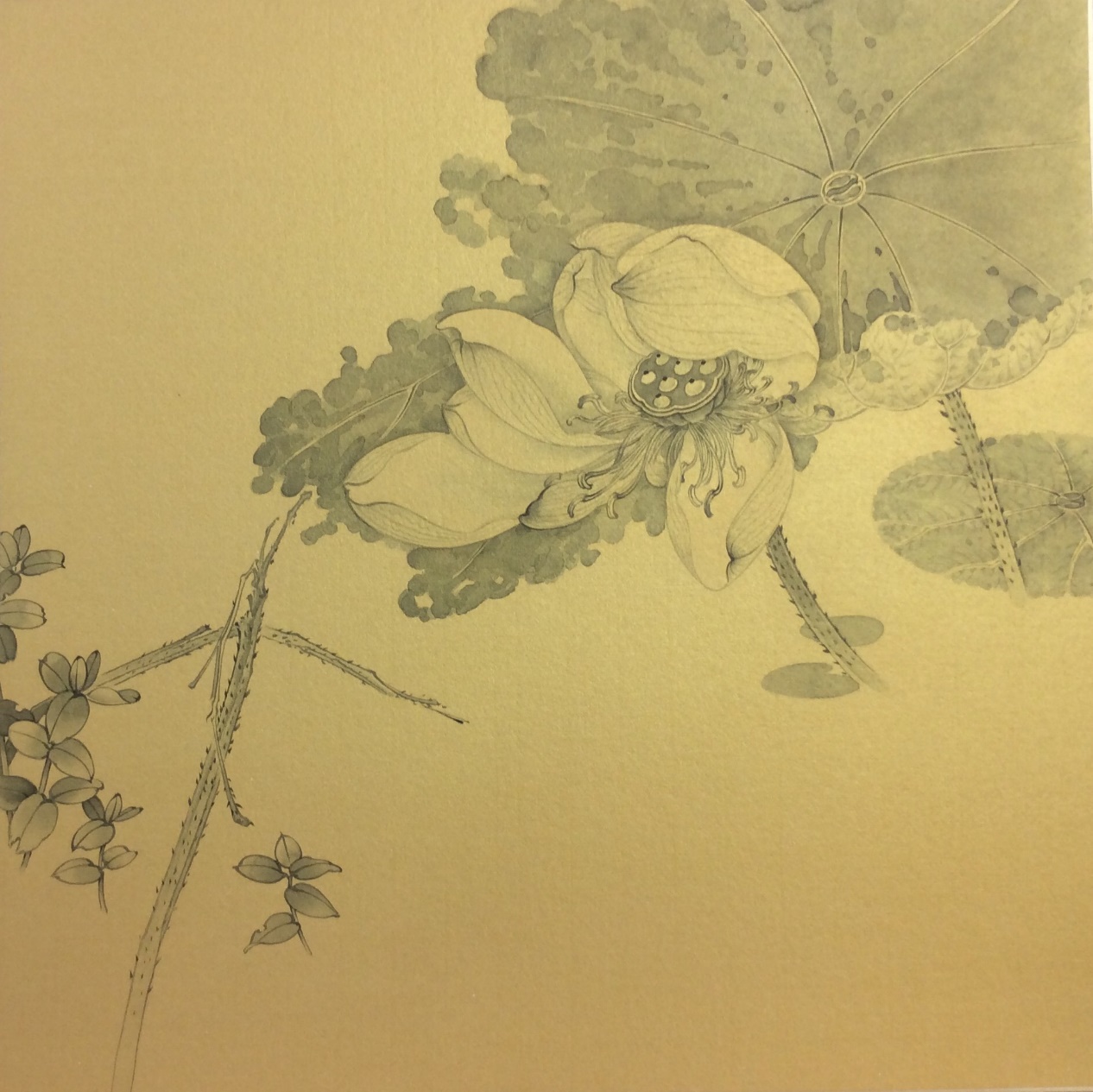 def885ef43f740069423d4499fd815ff.Jpeg def885ef43f740069423d4499fd815ff.Jpeg