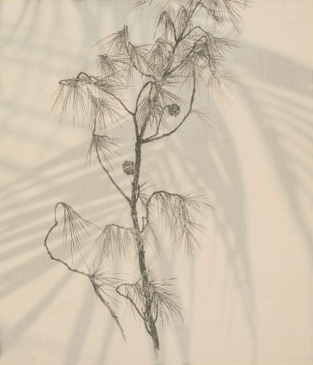 e5f8cf1484eb47a7b135426cde9605d9.Jpeg e5f8cf1484eb47a7b135426cde9605d9.Jpeg