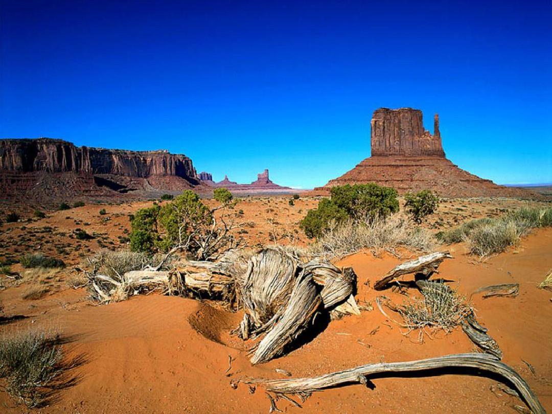 c703c17a40c04579a1febdc8565bb6b4.Jpeg c703c17a40c04579a1febdc8565bb6b4.Jpeg